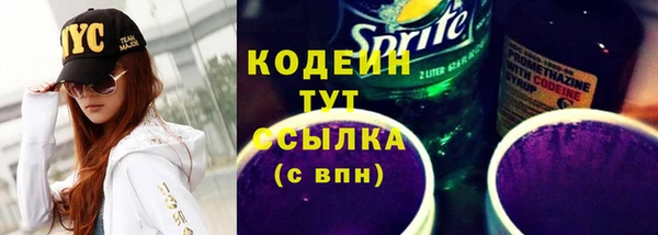 прущие грибы Верхний Тагил