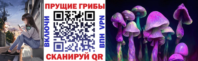 ссылка на мегу tor  Жуковка  Галлюциногенные грибы Magic Shrooms 